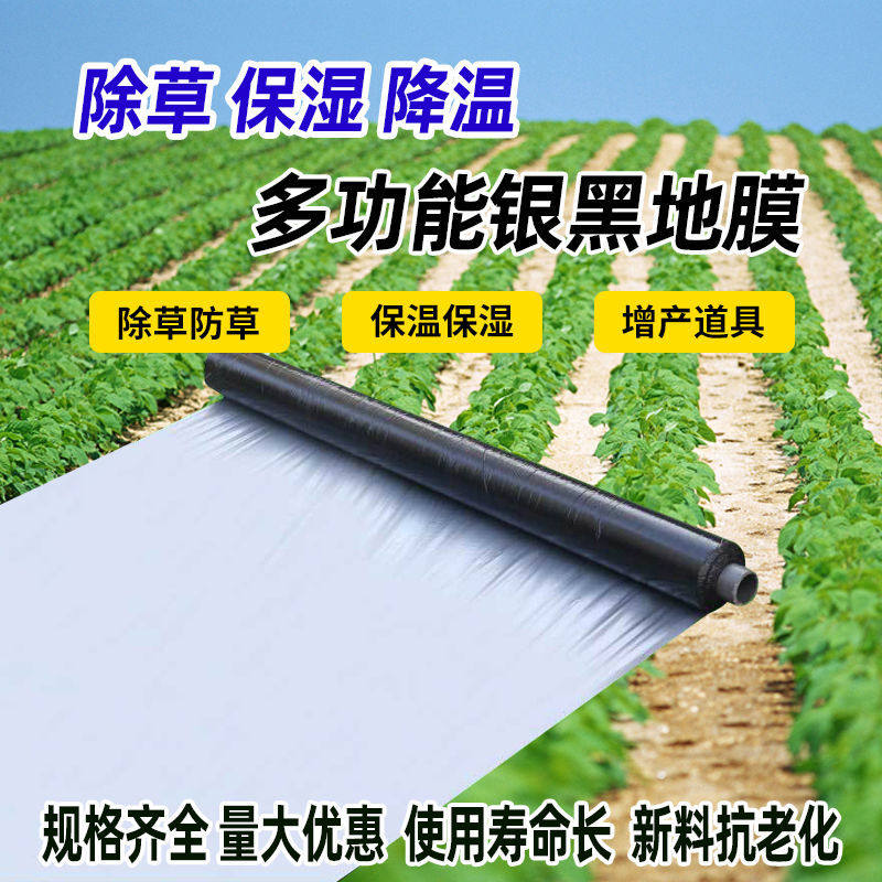农用地膜玉米果树葡萄辣椒种植银黑银灰反光除草除蚜虫耐老化微膜