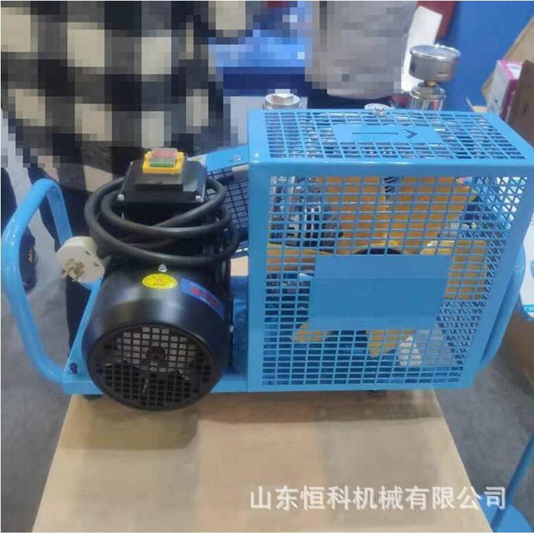 潜水用100L呼吸器充气机 30mpa潜水瓶打气机 空气呼吸填充泵