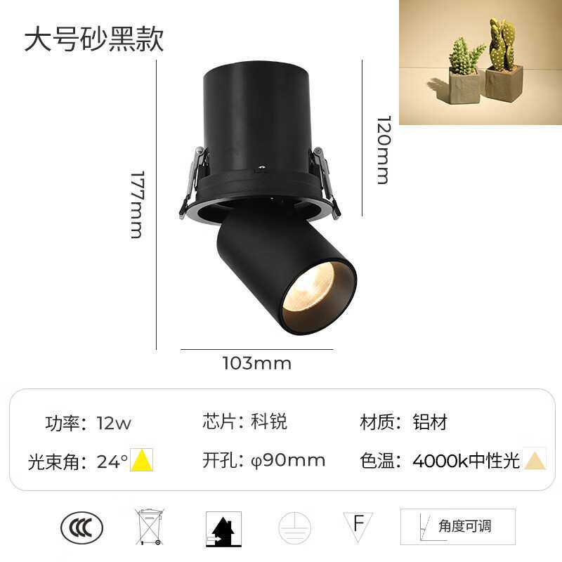 誉道伸缩射灯壁画照射灯斗胆灯led嵌入式客厅过道洗墙灯cob 黑色-