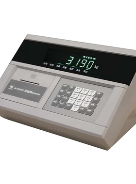 上海耀华XK3190-DS10地上衡显示屏数字仪表电子秤地磅仪表显示器