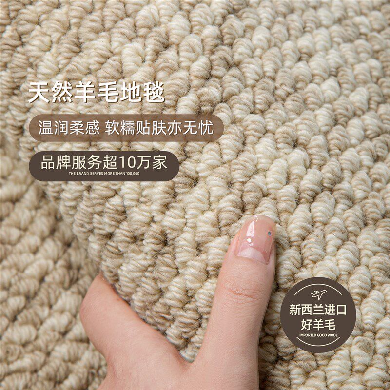 羊毛地毯客厅轻奢高级感耐脏免打理卧室家用沙发地垫满铺