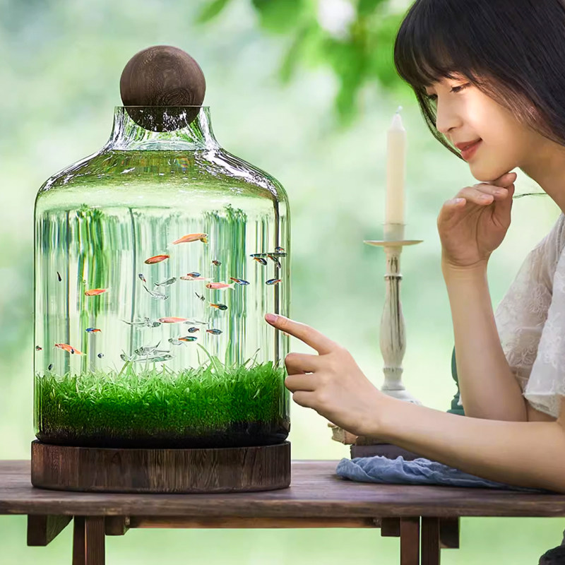 玻璃鱼缸造景桌面猫咪观赏斗鱼专用缸圆形大小型创意网红2025新款