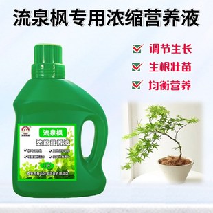 黄金流泉枫树苗专用浓缩营养液盆景栽观叶植物通用氮磷钾养花肥料