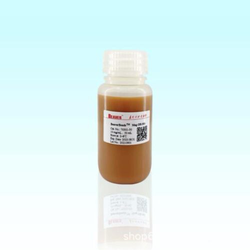 海狸Beaver磁性纳米颗粒(400nm)10mL,100mg/mL,400nm货号70311-10