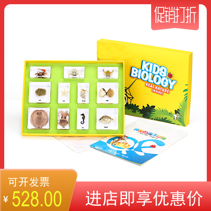 神秘的海洋动物幼儿园教具探索玩具科学实验制作材料蝴蝶昆虫标本