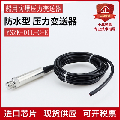 YSZK-01L-C-E 船用防爆压力变送器传感器 船舶液位计RDLY-S-2