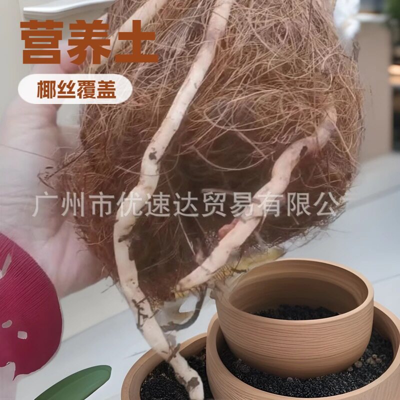 兰花专用培植土椰棕丝园艺花卉植物绿植土壤土遮盖椰纤维花盆铺面
