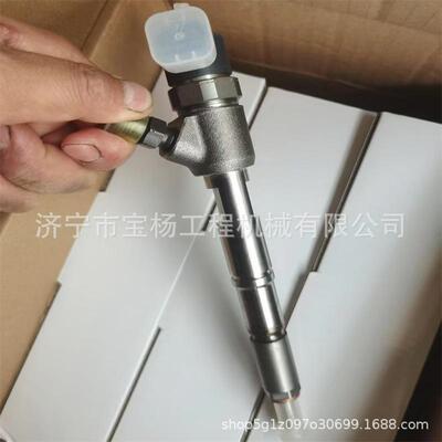 0445110766共轨喷油器0433172529 0445110677喷油嘴总成