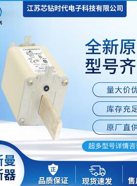 170M5816D 170M5817D 巴斯曼BUSSMANN快速熔断器保险丝
