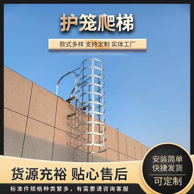 护笼爬镀锌钢梯深爬梯钢爬梯力GBU热镀锌爬梯电井保护直梯铁梯厂