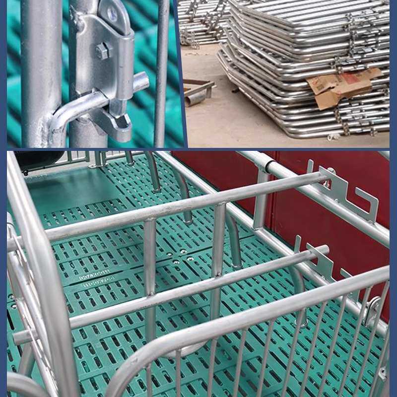 母猪产保一体双体单体产床保育一体两用复合粪板加厚分娩母猪定位