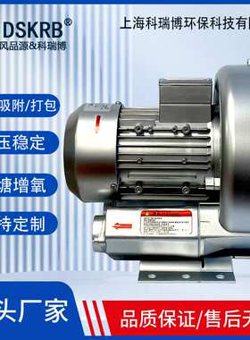 油雾分离漩涡气泵厂家供应2XHB 310 H06 0.7kw气体循环输送通风机