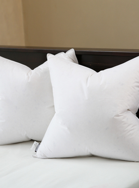 汉尚家居 清洁羽绒羽毛鹅毛靠垫芯抱枕芯内胆枕芯 羽协会信誉保证