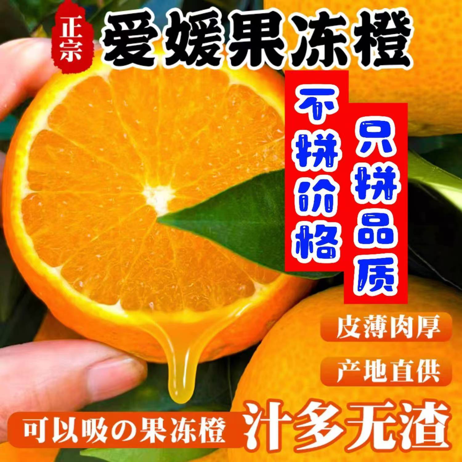 果园直发正宗爱媛果冻橙新鲜水果