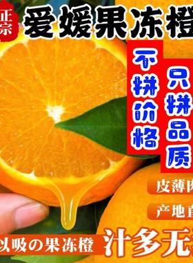 【果园直发】正宗爱媛38号果冻橙新鲜水果彩箱装5/9斤