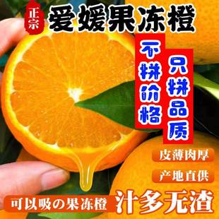 正宗爱媛38号果冻橙新鲜水果彩箱装 9斤 果园直发