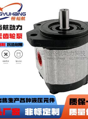 罗茨液压泵RONZIO齿轮泵05ZAG01ZAG02ZAG泵02ZCG03ZAG35油泵