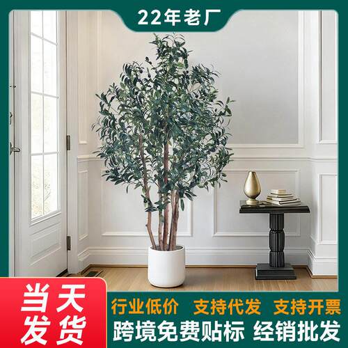 端仿真绿植橄榄树真树杆端假绿植轻奢落地摆件厂家直销