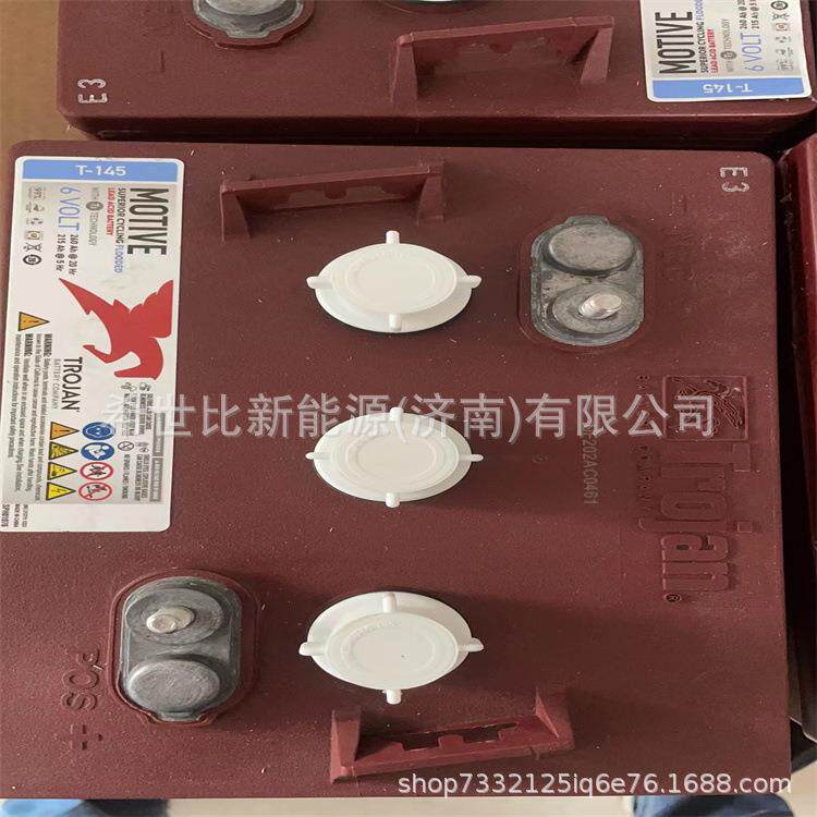 Trojan邱健蓄电池 T-145洗地机6V260AH升降机观光车堆高车