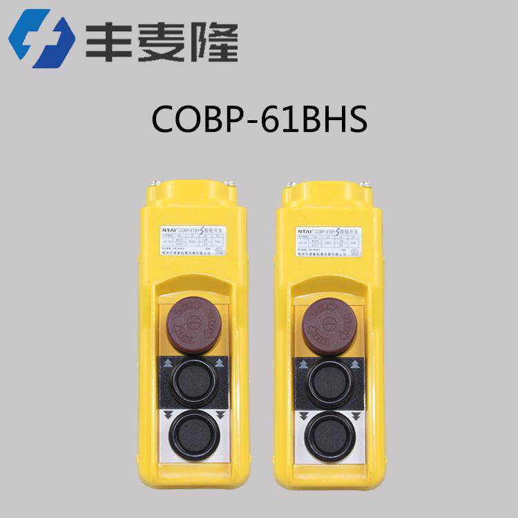 诺泰手柄控制按钮COBP型双速控制手柄防雨型按钮开关