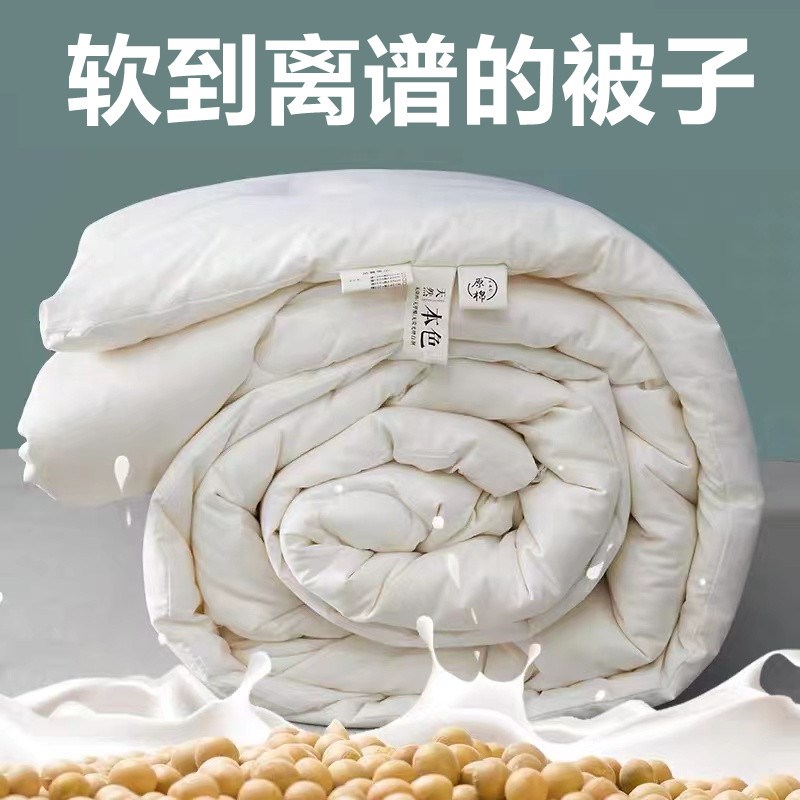 3YK丝绵被子全套一整套四件套双人春秋被芯冬被学生宿舍单人棉被
