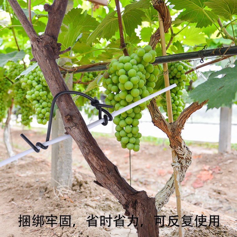 0.7mm包塑电镀锌铁丝 园林扎带 盆景造型葡萄扎丝