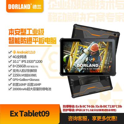 德兰厂家20000mAh石油化工Android13 Ex Tablet09 防爆平板电脑