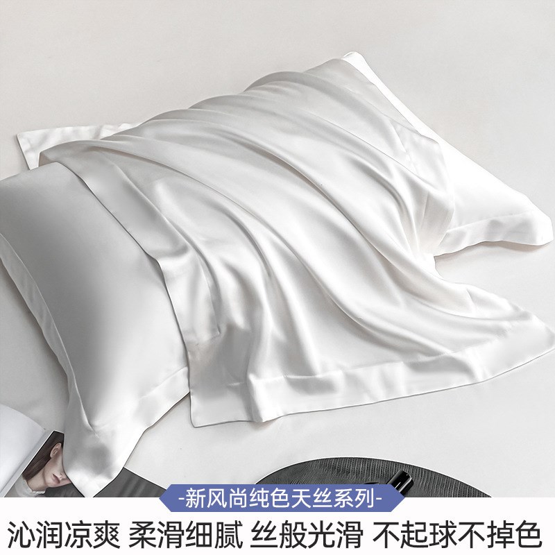 新品天丝单品枕套一对装轻奢高级感真天丝枕头套柔软套夏季家用