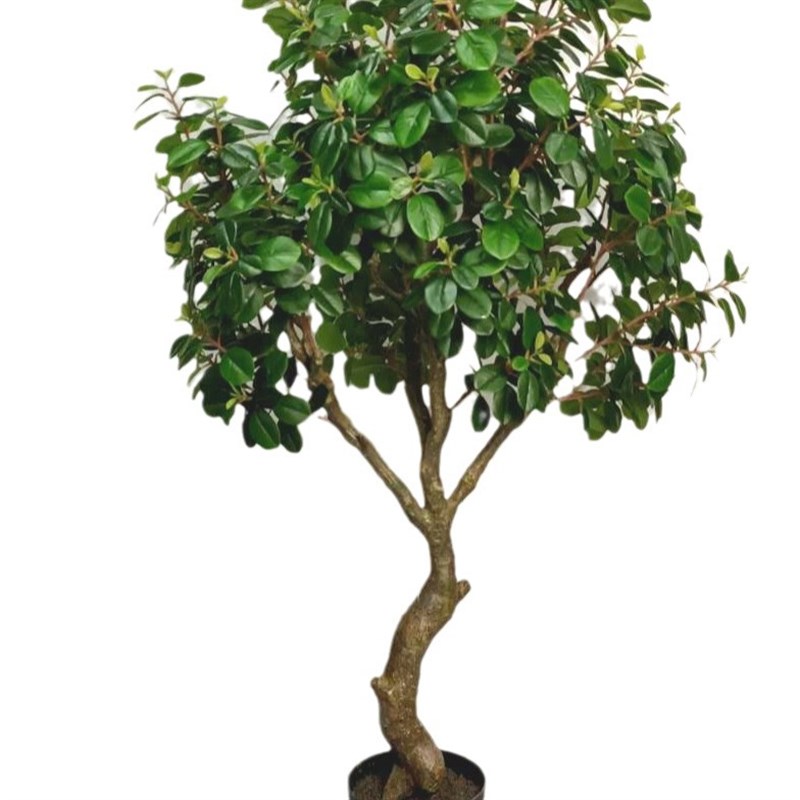 仿真金钱榕树人造树盆景 客厅室内室外仿真造景假树