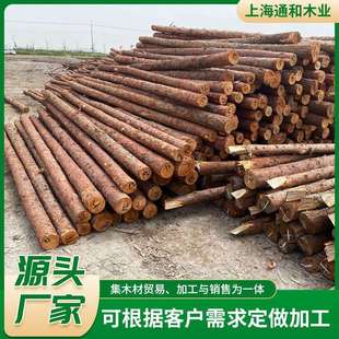 林场现货落叶松木桩土建工程松木桩原木河道围岸多规格打桩木