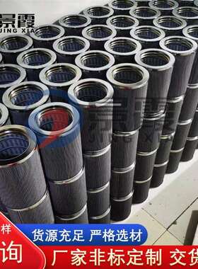 供应特雷克斯矿山配件 terex tr50 tr100 15265318 转向滤芯