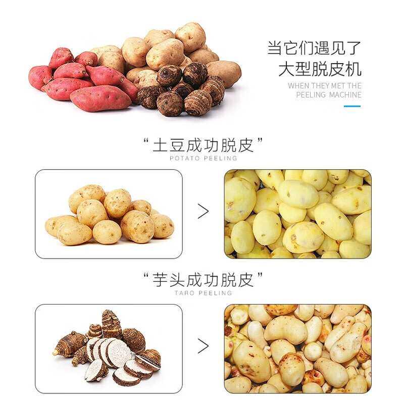 史蒂芬Stevison 土豆去皮机 不锈钢小型商用全自动土豆脱皮设备