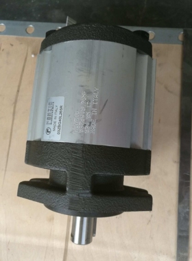 意大利RONZIO罗茨02ZAG31C035D（排量31）全系齿轮泵 液压马达