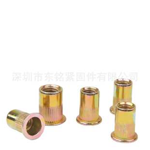 250pcs 美制拉铆螺母  内外牙带介螺母木具适用螺丝 铝型材