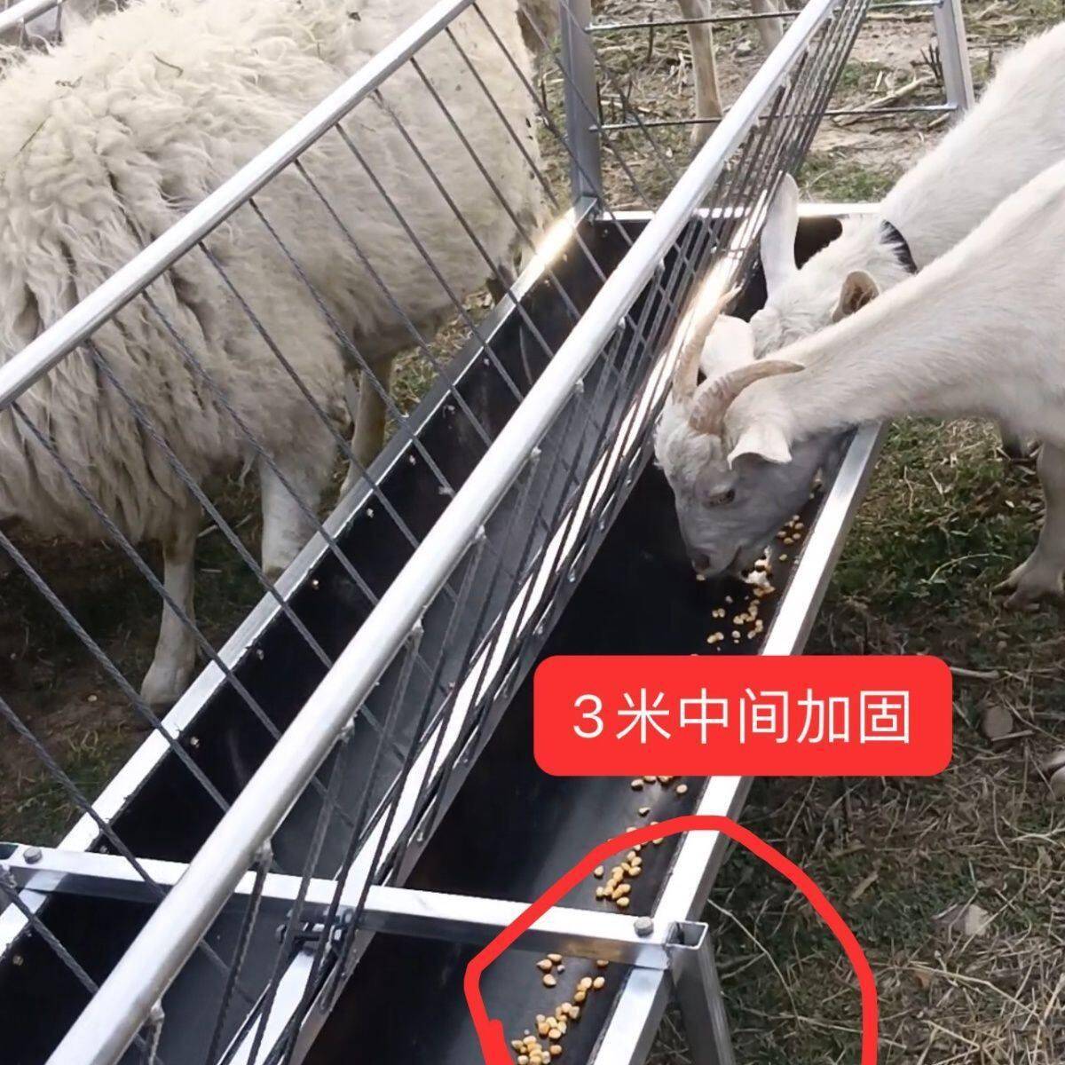 羊槽子羊食料槽双面槽面槽羊羔槽加厚镀锌材质养羊设备可拆卸