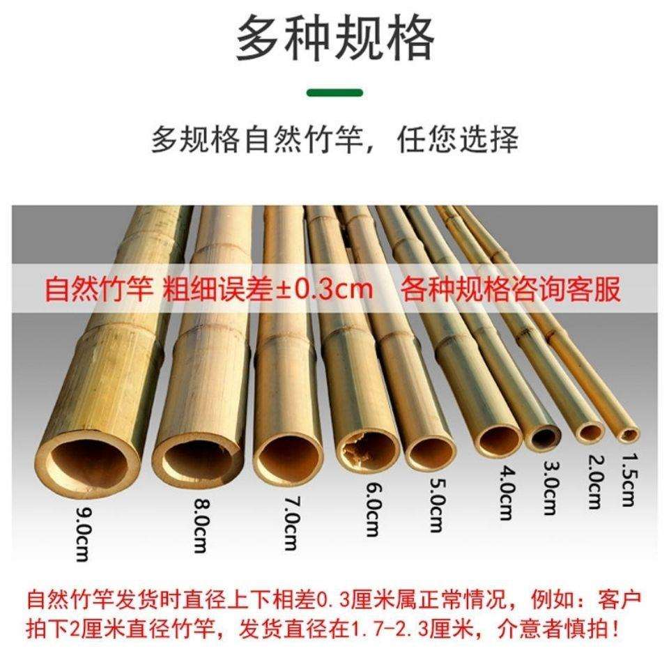 防腐竹竿装修吊碳化防虫装饰装潢跳舞材料竹竹子竹篱笆楠粗竹杆