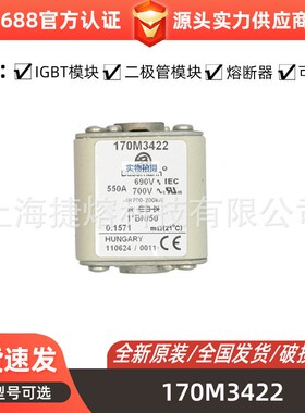 170M3422  170M3423 170M3461快速熔断器 电子元器件 现货