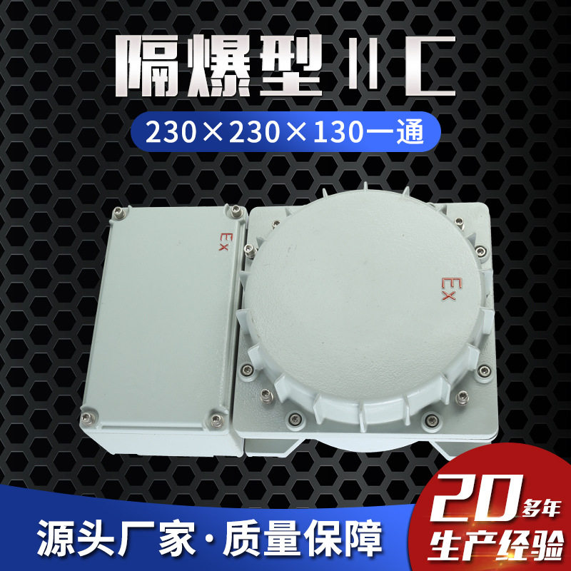 隔爆ⅡC防爆动力配电箱230×230