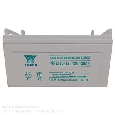汤浅蓄电池NPL120-1212V120AH发动机装置船舶专用发电厂用