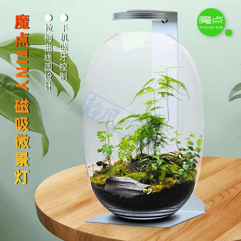 魔点磁吸微景灯 TINY系列磁吸灯 水草灯植物照明补光灯苔藓养殖灯