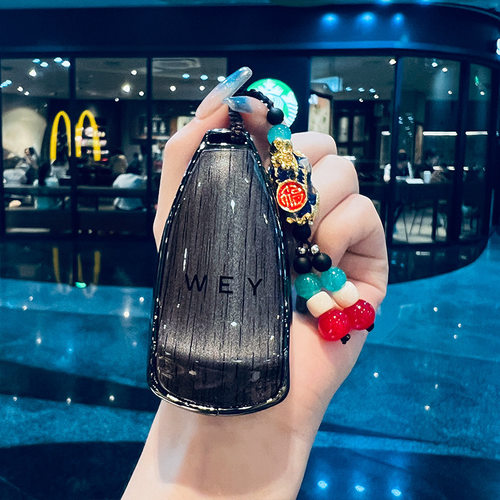 适用魏派蓝山高山钥匙套专用2024