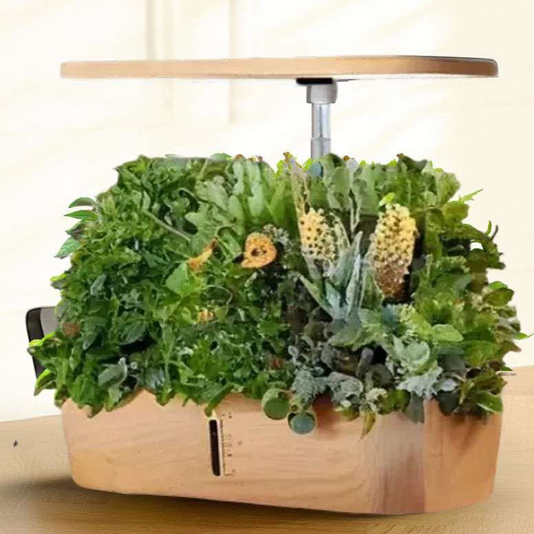 室内水培种植机全光谱植物生长灯塑料多肉水培蔬菜种植机智能花盆