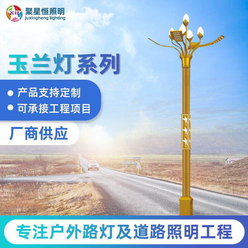 厂家中华灯8-15米户外道路灯小区灯led广场灯景观灯玉兰灯
