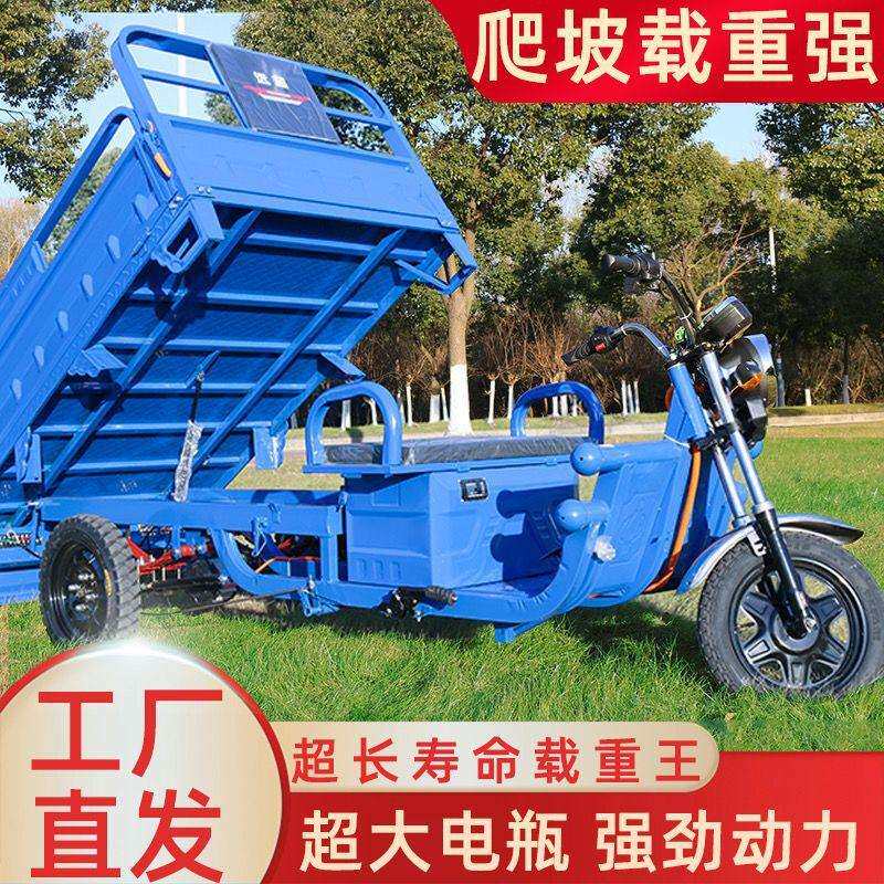 电动三轮车货车成人载货王拉货王电瓶加强接送孩子代步车两用新款