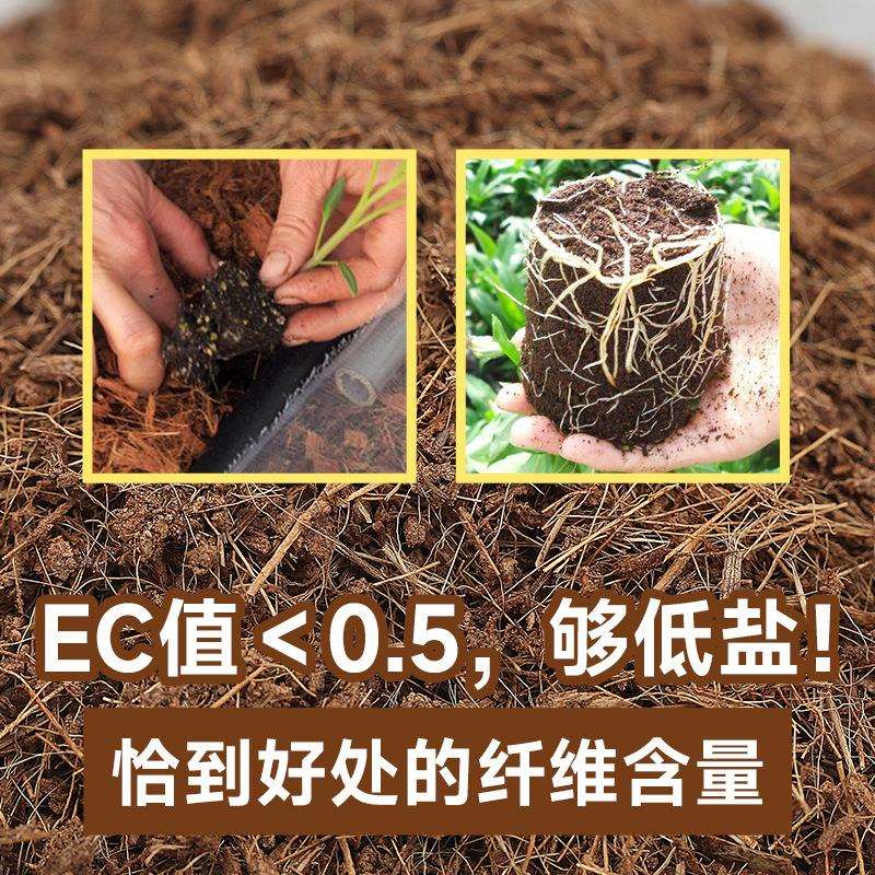 进口斯里兰卡种植绿化育苗基质蓝莓营养土免泡发微压缩装椰糠