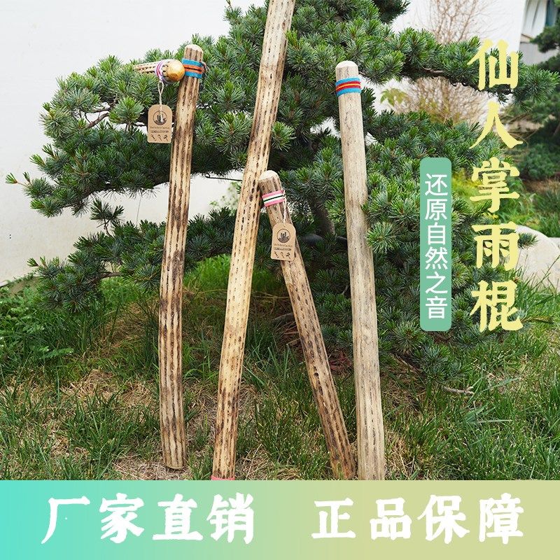 卡杜斯雨棍雨棒仙人掌南美智利海浪雨声器瑜伽冥想音疗乐器雨声筒