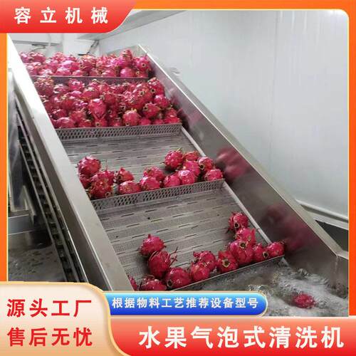 厂家全自动净菜清洗设备杨梅草莓辣椒水果清洗机果蔬气泡清洗机