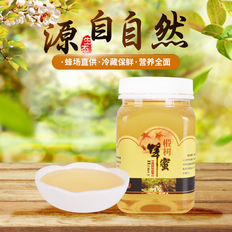 精亿厂家东北黑蜂椴树蜜500克瓶装低价现货农家自产蜂蜜