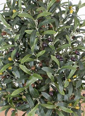 橄榄MC-78023造树人橄榄枝室内仿装饰假绿植仿真树盆景造型树真绿