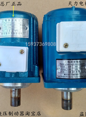 南阳天力电机YDT60W 80W 120W A140W 250W 400W电力液压制动器电
